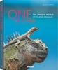 Afbeelding van One of a Kind