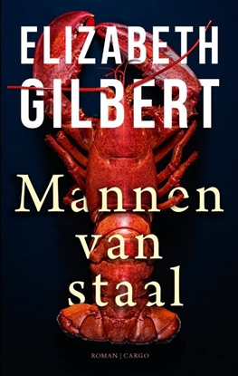 Afbeeldingen van Mannen van staal