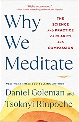 Afbeeldingen van Why We Meditate