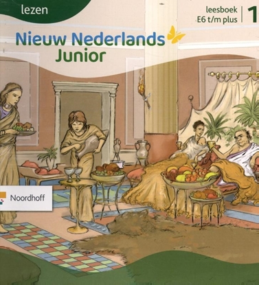 Afbeeldingen van Nieuw Nederlands Junior lezen E6 t/m plus 1 Leesboek