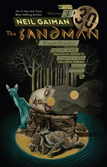 Afbeelding van The Sandman Volume 3