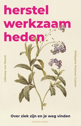 Afbeeldingen van Herstelwerkzaamheden