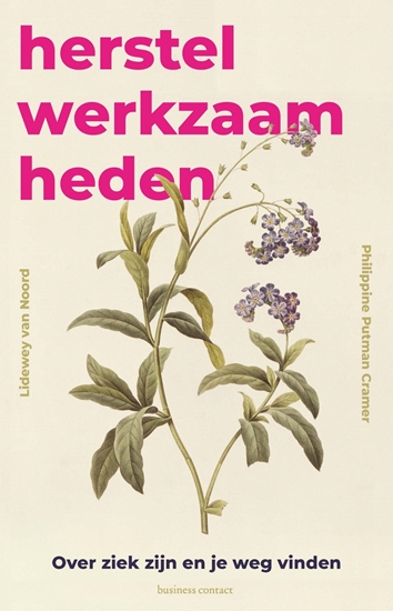 Afbeelding van Herstelwerkzaamheden