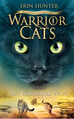 Afbeeldingen van Het verscheurde woud