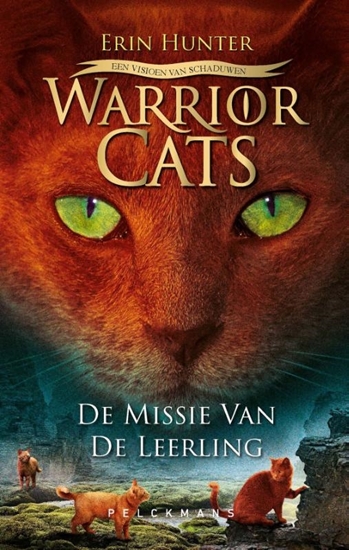 Afbeelding van Missie van de leerling