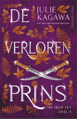 Afbeeldingen van The Iron Fey De verloren prins