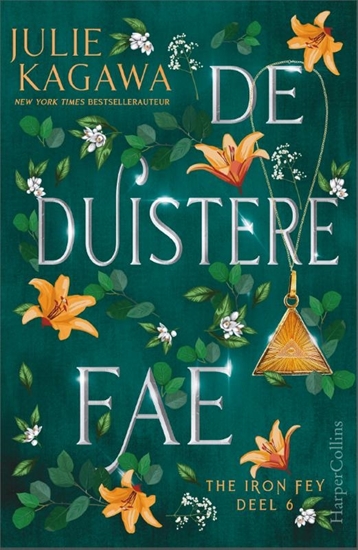 Afbeelding van The Iron Fey De duistere fae