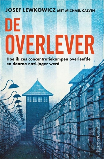 Afbeelding van De overlever