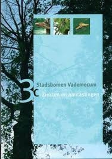 Afbeelding van Stadsbomen Vademecum 3c Ziekten en aantastingen