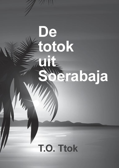Afbeelding van De totok uit Soerabaja