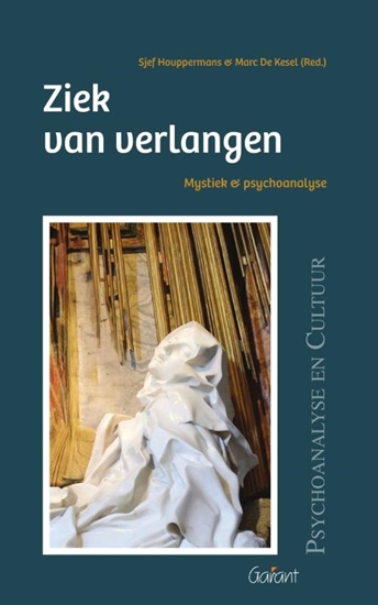 Afbeelding van Psychoanalyse en cultuur Ziek van verlangen