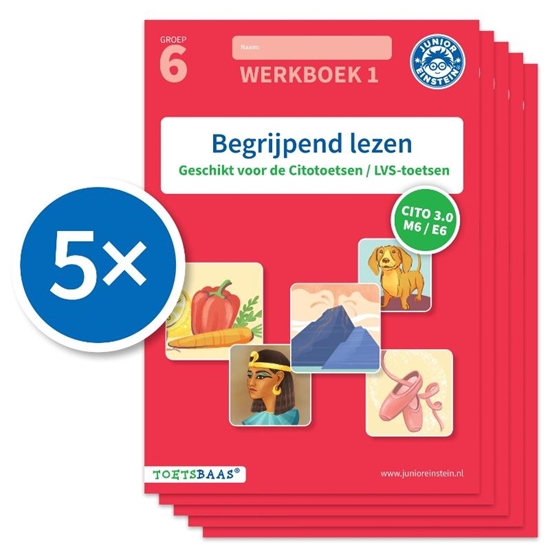 Afbeelding van Toetsbaas Begrijpend lezen werkboek 1 (Set van 5)