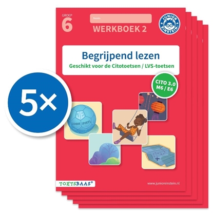 Afbeeldingen van Toetsbaas Begrijpend lezen werkboek 2 (Set van 5)