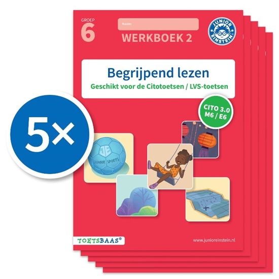Afbeelding van Toetsbaas Begrijpend lezen werkboek 2 (Set van 5)