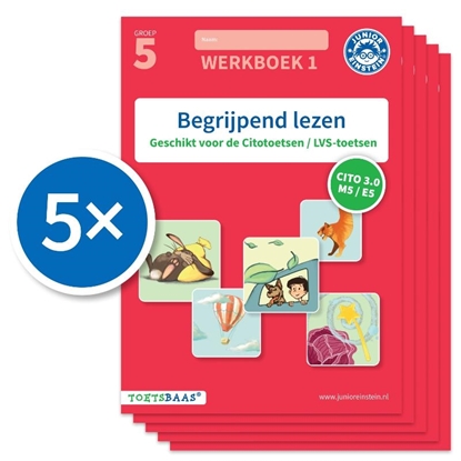 Afbeeldingen van Toetsbaas Begrijpend lezen werkboek 1 (Set van 5)