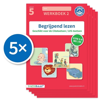 Afbeeldingen van Toetsbaas Begrijpend lezen werkboek 2 (Set van 5)