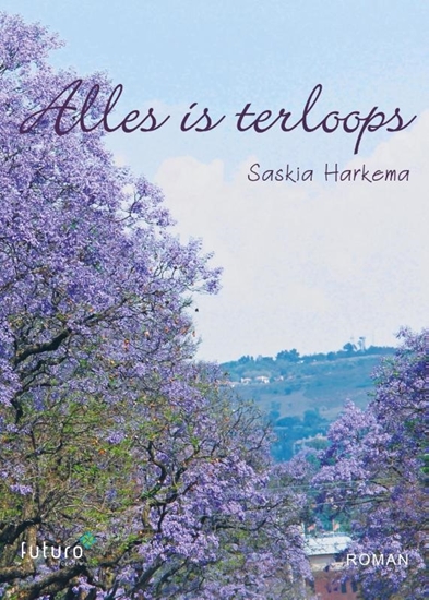 Afbeelding van Alles is terloops