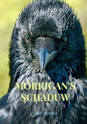 Afbeeldingen van Mórrigan's schaduw