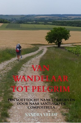 Afbeeldingen van VAN WANDELAAR TOT PELGRIM