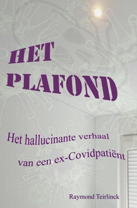 Afbeeldingen van Het Plafond