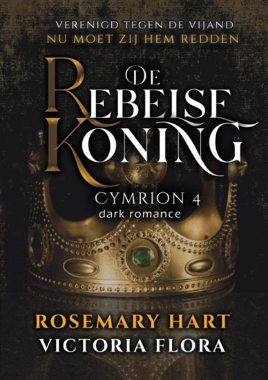 Afbeelding van De Rebelse Koning