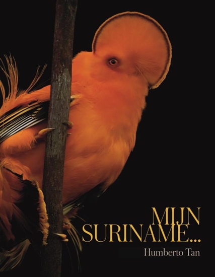 Afbeelding van Mijn Suriname