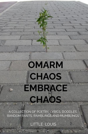 Afbeelding van Omarm Chaos - Embrace Chaos
