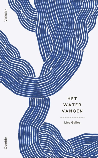 Afbeelding van Het water vangen