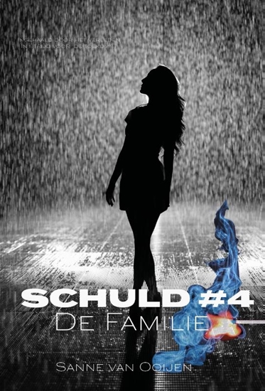 Afbeelding van Schuld De Familie