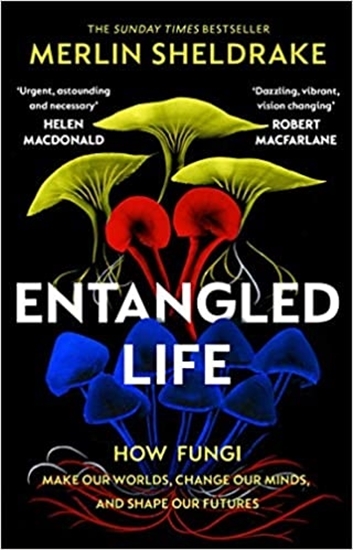 Afbeelding van Entangled Life
