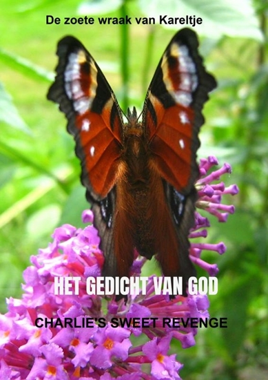 Afbeelding van Het gedicht van God / Charlie's sweet revenge