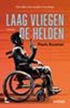 Afbeeldingen van Laag vliegen de helden