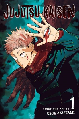 Afbeeldingen van Jujutsu Kaisen Jujutsu Kaisen, Vol. 1