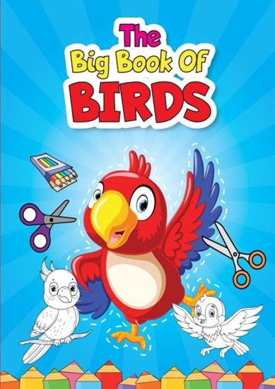 Afbeelding van The big book of birds