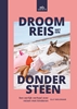 Afbeelding van Droomreis met een dondersteen