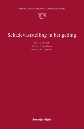 Afbeeldingen van NVvP-reeks Schadevaststelling in het geding