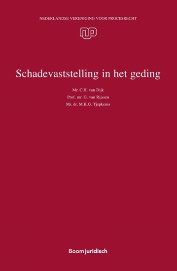 Afbeelding van NVvP-reeks Schadevaststelling in het geding