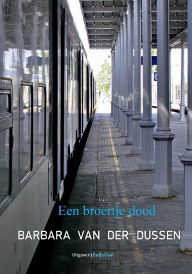 Afbeelding van Een broertje dood