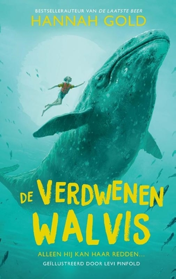 Afbeelding van De verdwenen walvis