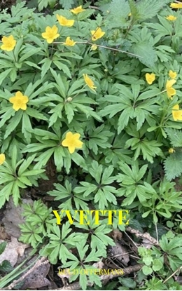 Afbeeldingen van Yvette