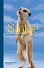 Afbeelding van Stokje
