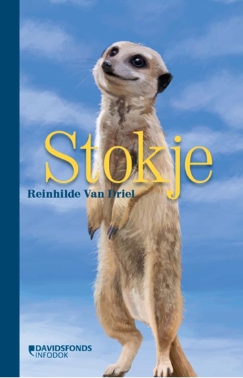 Afbeelding van Stokje