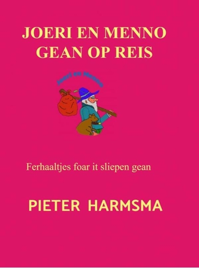 Afbeelding van Joeri en Menno gean op reis