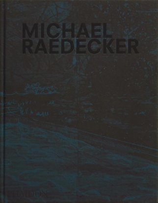 Afbeeldingen van Michael Raedecker