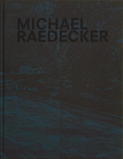 Afbeelding van Michael Raedecker