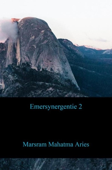 Afbeelding van Emersynergentie 2