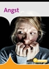 Afbeelding van Informatie Angst
