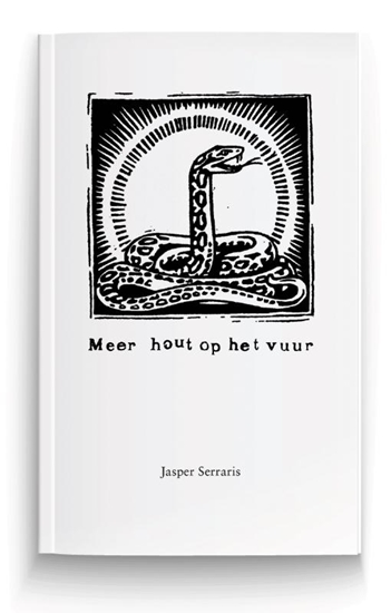 Afbeelding van Meer hout op het vuur