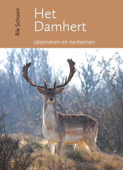 Afbeelding van Het damhert