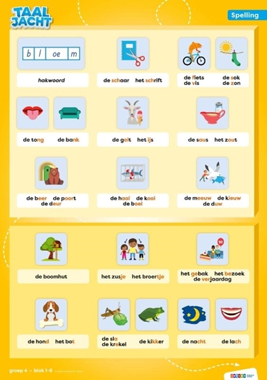 Afbeelding van Taaljacht Groep 4 spelling & grammatica categorieposter
